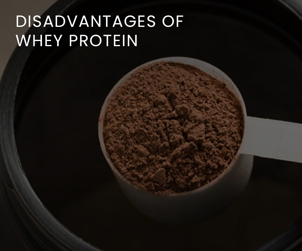 isadvantages of Whey Protein