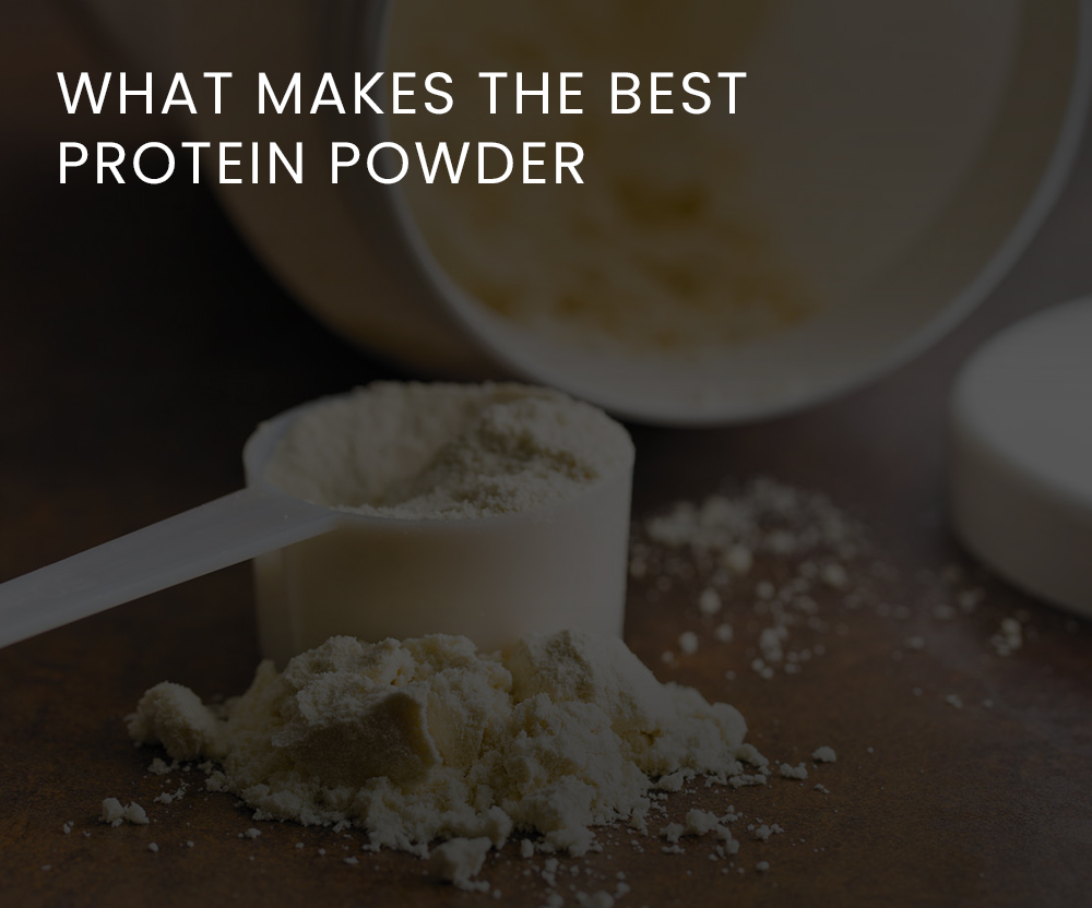 What makes the best protein powder